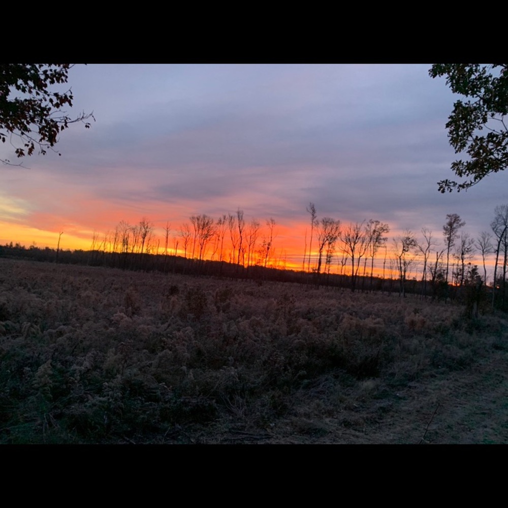 Meet your Posher, Reid